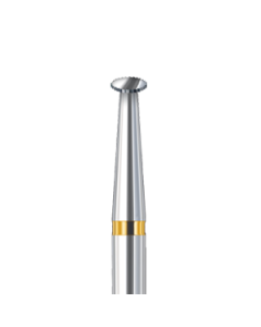 231AU ZT
