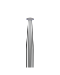 231 ZT